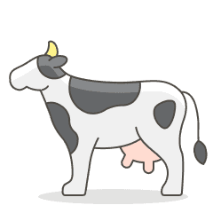 Native Gir Cows
